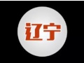 【重磅】40個(gè)項(xiàng)目679MW獲遼寧并網(wǎng)指標(biāo)，另94MW的6個(gè)項(xiàng)目未納入