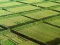 專訪：光伏圈最神秘組織——固德威太陽(yáng)能學(xué)院