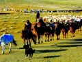 新疆國稅:稅收助力企業(yè)走綠色環(huán)保之路