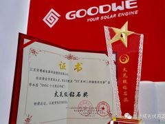 固德威儲能逆變器斬獲太瓦級鉆石獎，2019SNEC完美收官！