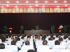 立瀾能源打造光伏小鎮(zhèn)，助力鄉(xiāng)村振興（系列一）