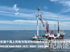 山東首個海上風(fēng)電與海洋牧場融合試驗項目全部風(fēng)機(jī)吊裝完成 即將并網(wǎng)！