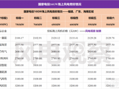 9家整機(jī)商競(jìng)標(biāo)，最低價(jià)2100元/kW！國(guó)家電投16GW海上風(fēng)電機(jī)組集采開(kāi)標(biāo)！