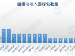 開標！19家企業(yè)入圍中國電氣裝備5.6GWh儲能電池采購！寧德時代最大贏家！