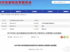 大連：未按計劃實施、進展緩慢、提供虛假材料等氫能綜合利用示范項目 將撤銷認定！