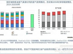 IEA：全球氫能需求今年將達1億噸！中國電解槽產能占八成！