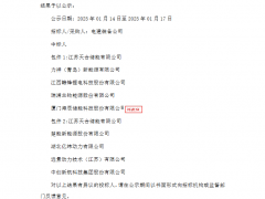 10家企業(yè)拿下中國電建1GWh儲能電池集采！