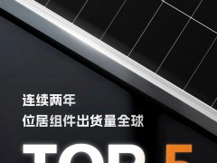 PV InfoLink 2024年全球組件出貨排名出爐！通威蟬聯(lián)Top5！