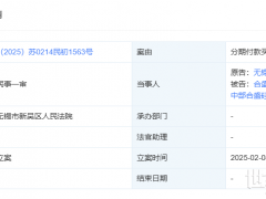 從供應(yīng)商訴訟到ABS融資，合盛硅業(yè)擴張擊穿資金鏈？