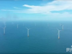 三峽集團在閩首個“海上風電+海洋牧場”產(chǎn)業(yè)融合項目成功投苗