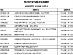 政策套利時代終結(jié)！廢止風(fēng)波后，內(nèi)蒙古錨定綠氨/甲醇？
