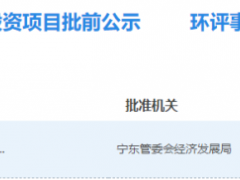 年產(chǎn)氫6.4億標(biāo)方！寧夏寶豐氫儲能項目獲批