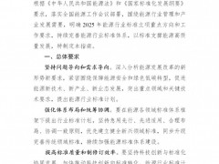 新增41個重點方向！國家能源局發(fā)布2025年能源標(biāo)準(zhǔn)立項指南