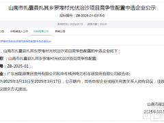 西藏山南50MW光伏治沙項目競配：廣東能源集團、中車株洲所聯(lián)合體中標