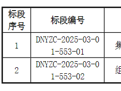 5GWh！國家電投2025年儲能系統(tǒng)集采招標(biāo)