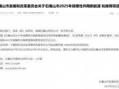 寧夏國資運(yùn)營集團(tuán)1GW風(fēng)光同場項(xiàng)目擬獲保障性指標(biāo)