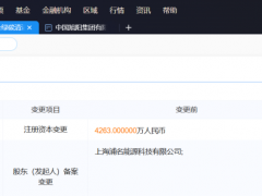 押注綠色甲醇！隆基入股生物質(zhì)氣化公司