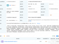 注資600萬！一國企成立兩家新能源公司