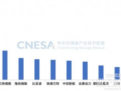 權(quán)威發(fā)布 | 2024年度中國儲能企業(yè)出貨量八大榜單發(fā)布