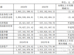 永杉鋰業(yè)2024年凈利潤為2542.16萬元