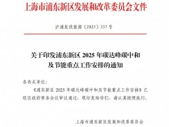 上海浦東新區(qū)：推動新型儲能、虛擬電廠等新能源示范項目建設(shè)