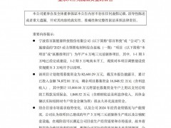 容百科技6萬噸三元前驅(qū)體產(chǎn)能調(diào)整至3萬噸
