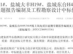 1550MW！4個(gè)海上風(fēng)電項(xiàng)目開標(biāo)