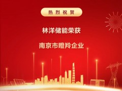 創(chuàng)新不止 奔跑不息 | 林洋儲(chǔ)能榮膺南京市瞪羚企業(yè)，厚植新質(zhì)生產(chǎn)力