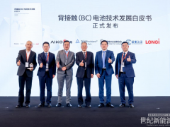 愛旭隆基煉成光伏“回春丹”，BC技術頂峰相見