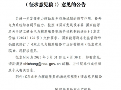 《東北電力輔助服務(wù)市場運(yùn)營規(guī)則（征求意見稿）》意見的公告發(fā)布