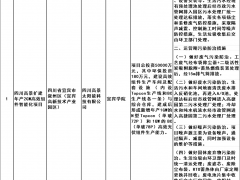 四川高景擴(kuò)建年產(chǎn)2GW高效組件智能化項(xiàng)目