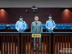 國(guó)家電投李海瑜受賄案一審宣判