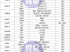 三峽/科陸/孚能接連換帥！超40位儲(chǔ)能高管大調(diào)整