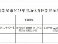 新疆兵團(tuán)第十三師新星市300MW風(fēng)電項目公示