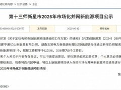 國家電投聯(lián)合體申報！新疆300MW風(fēng)電項目公示